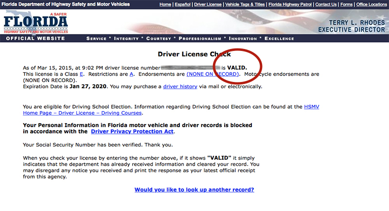 free driver license check